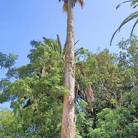 Casa Emblematica En Entorno De Cuento Villa La Caridad
