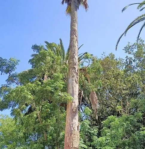 Casa Emblematica En Entorno De Cuento Villa La Caridad